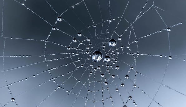 BINARYCUBE GMBH - Rüchligweg 55 - 4125 Riehen – Basel  - Schweiz // Vollumfängliche Informatiklösungen / ERP / CRM / Applikationen / Datenbanken / Konzeptionierung / Gesamt-Koordinationen / Erhaltungsplanung / Ingenieurwesen / Netzwerk / Software-Entwicklung / Schulungen / Projektportfolio / Infrastruktur-Koordination / GIS / Schnittstellen und weiteres